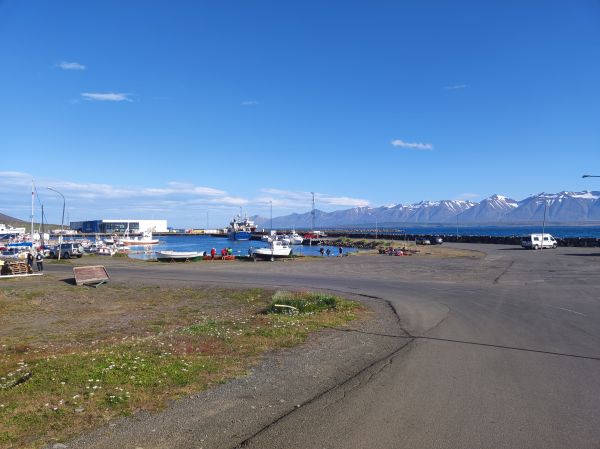 Dalvik Hafen Island 2022