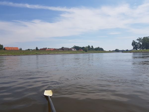 Havelmuendung in die Elbe 2019