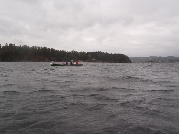Oslofjord Deckung hinter einer Insel Ruderboote 2018