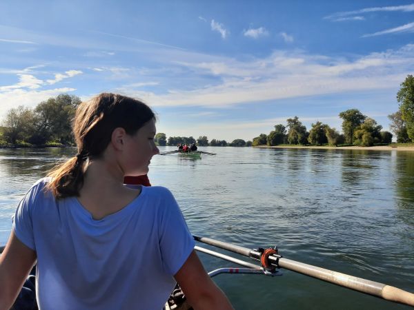 Ruderboote auf dem Weg nach Deggendorf Donau 2021
