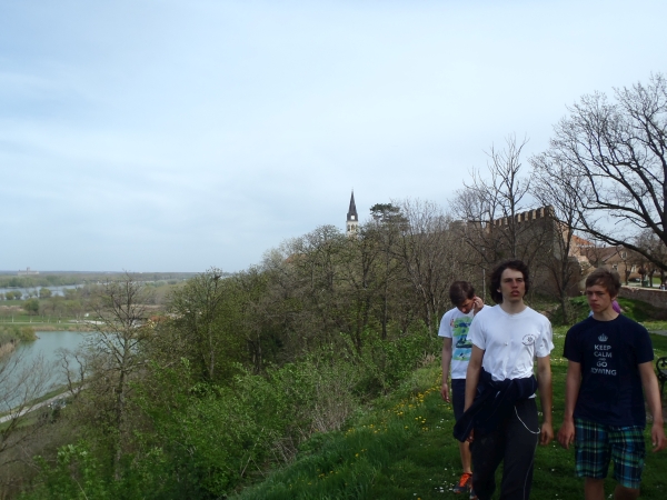Ruderer auf Burg Ilok Donau 2016