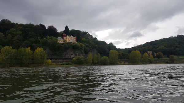 Schloss am Rhein 2019