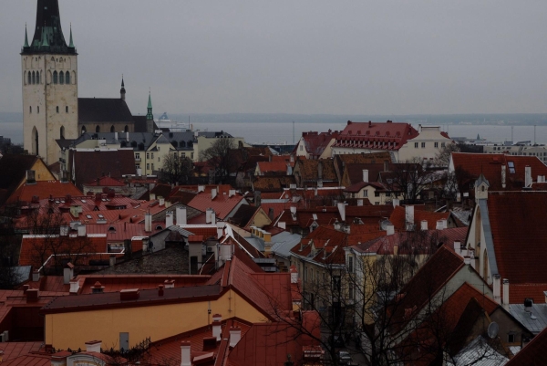 Tallinn Aussicht von der Oberstadt 2017