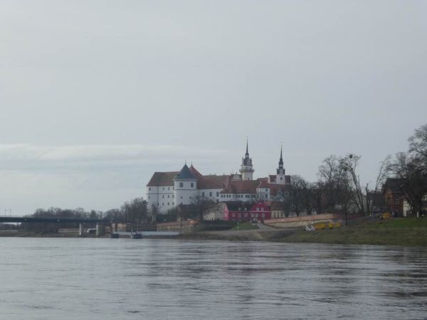 Torgau vom Ruderboot gesehen Elbemarathon 2019