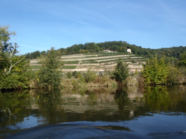Weinbau am Ufer der Unstrut USE2012