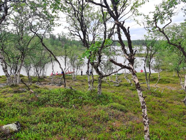 Am Nordende des Soulisjärvi Inari 2022