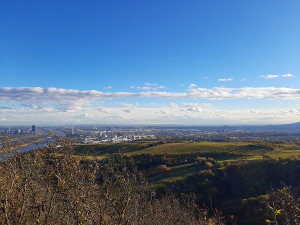 Aussicht Kahlenberg Donau 2021