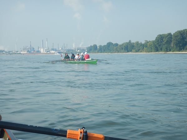 Chemieanlagen Ruderboot Rhein 2021