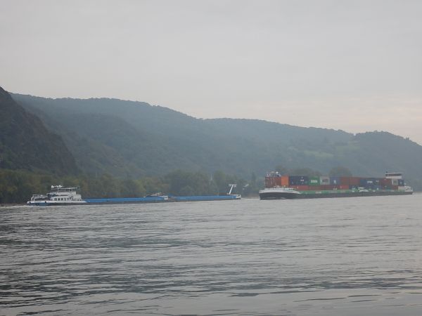 Containerschiff Rhein 2021