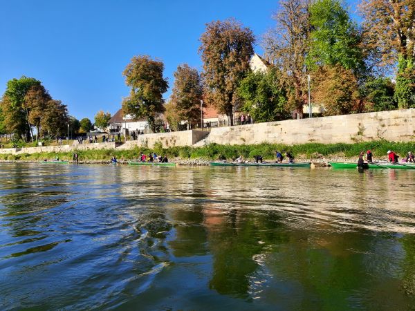 Donauwörth wiedereinsetzen der Ruderboote Donau 2021